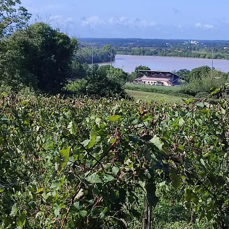 Maison Charmeilles - La Saint Emilion Fronsac (Gironde)