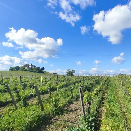 Maison Charmeilles - La Saint Emilion 3* Fronsac (Gironde)